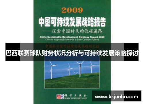 巴西联赛球队财务状况分析与可持续发展策略探讨 巴西联赛球队财务状况分析与可持续发展策略探讨